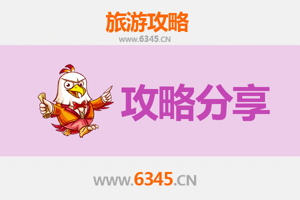 陇南成县旅游攻略：跟团与自由行深度对比