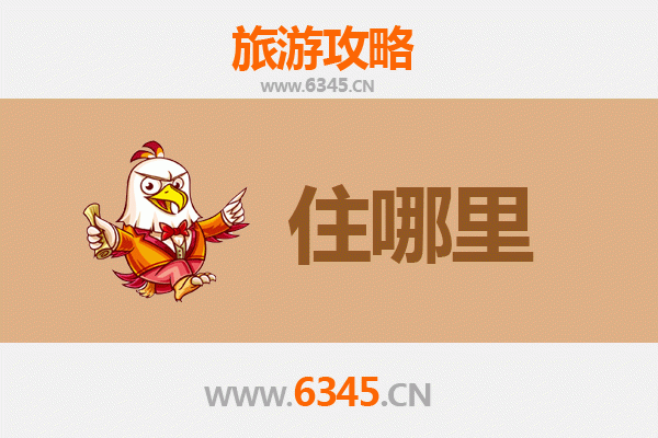 陇南成县民宿攻略：沉浸自然与人文的憩息之所